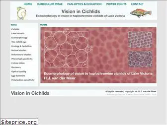 vision-in-cichlids.com