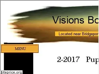 visionsbc.com