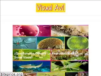 visualavi.com