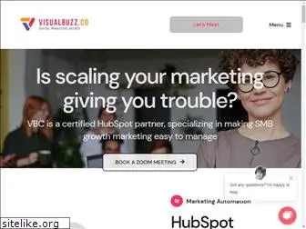 visualbuzz.co