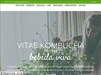 vitaekombucha.com