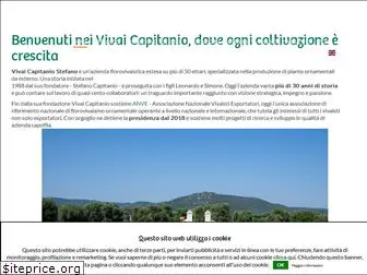 vivaicapitanio.it