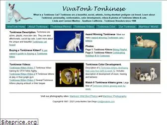 vivatonk.com