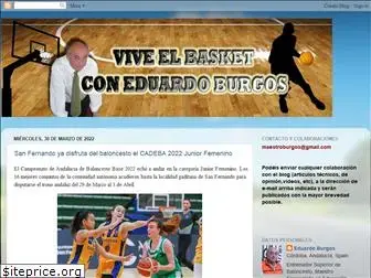 viveelbasket.blogspot.com