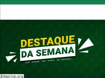 viveiroportoamazonas.com.br