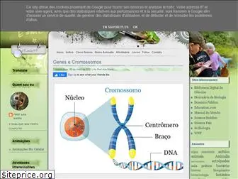 vivendociencias.com.br