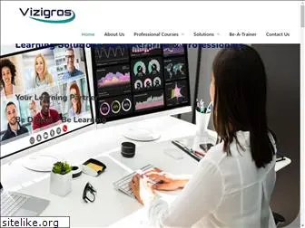 vizigros.com