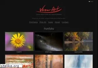 vizurart.com