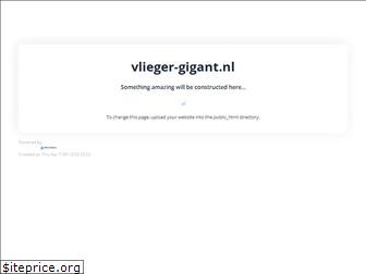 vlieger-gigant.nl