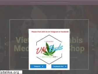 vnbuds.com