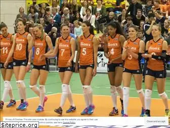 volleybaldames.nl