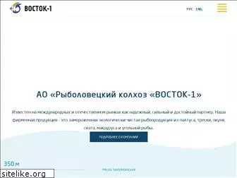vostok1.com
