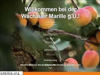 wachauermarille.at