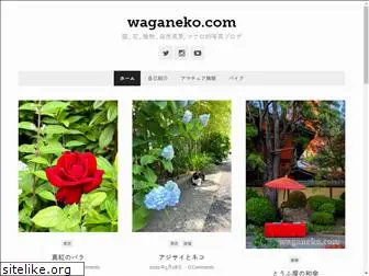 waganeko.com