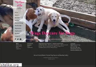 wagsdaycare.com