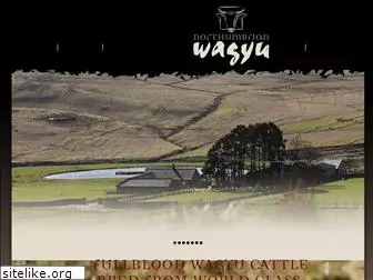 wagyu-beef-direct.co.uk