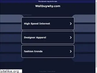 waitbuywhy.com