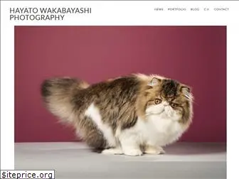 wakabayashihayato.com