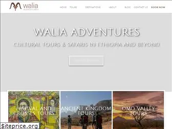 waliaadventures.com