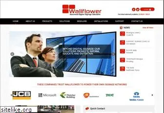 wallflowerglobal.com