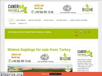 walnut-sapling.com