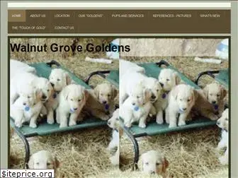 walnutgrovegoldens.com