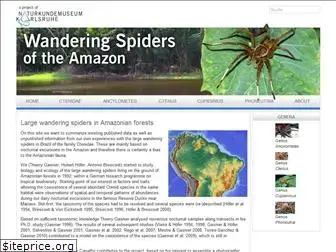 wandering-spiders.net