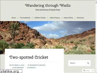 wanderingthroughwadis.com