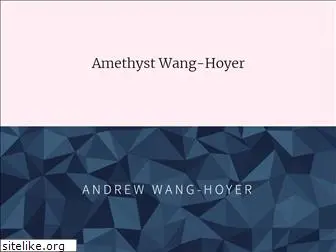 wang-hoyer.com