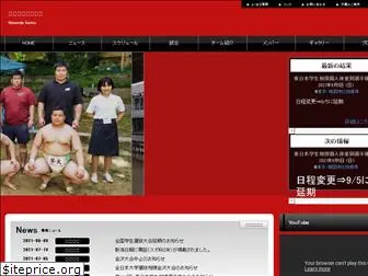 wasedasumo-website.com
