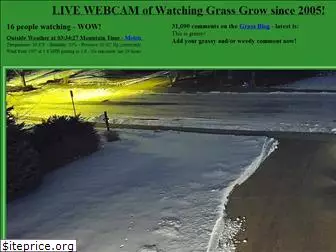 watching-grass-grow.com