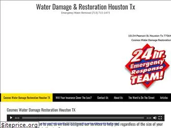 waterdamagehouston.us