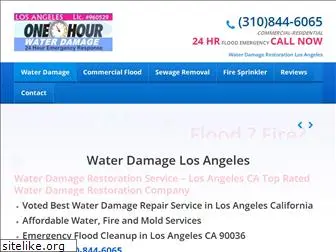 waterdamagerestorationlosangeles.com