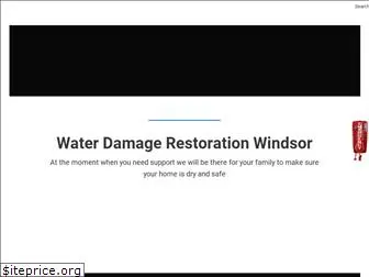 waterdamagerestorationwindsor.ca