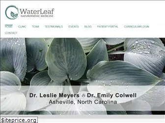 waterleafnaturopathic.com