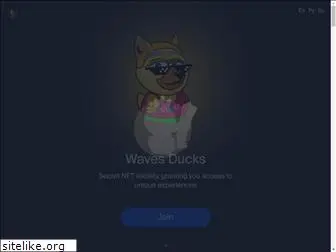 wavesducks.com