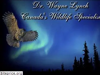 waynelynch.ca