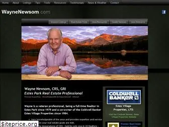 waynenewsom.com