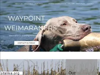 waypointweimaraners.com