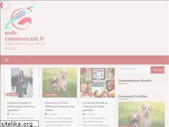 web-commercant.fr