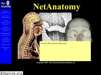 webanatomy.com