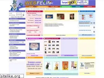 webfelin.com