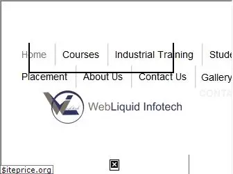 webliquidinfotech.com