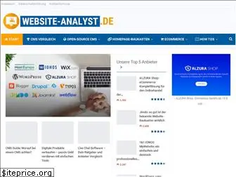 website-analyst.de