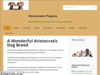 weimaraner-puppies.com