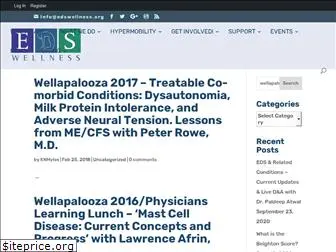 wellapalooza.com