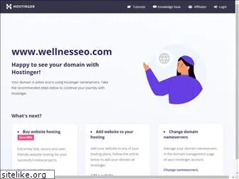 wellnesseo.com