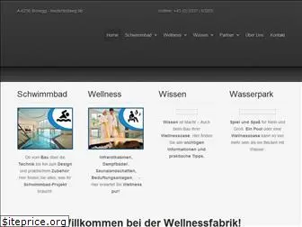 wellnessfabrik.com