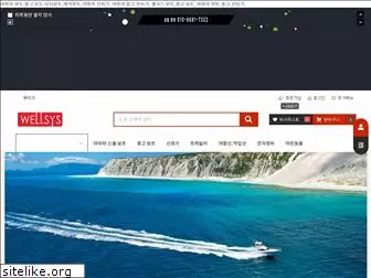 wellsys.co.kr