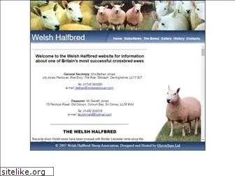 welshhalfbredsheep.co.uk